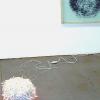Kooperation Glühwürmchen, mit Milan Maur, Lichtobjekt /Wandobjekt, 2009, Kunststoff, Lichterkette, Tusche hinter Glas, ca. 200 x 200 cm 