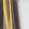 Mit Gelbem Vorhang, 2010, Acryl auf Leinwand/ Papier hinter Glas, Vierteilig, 120 x 330 cm 
